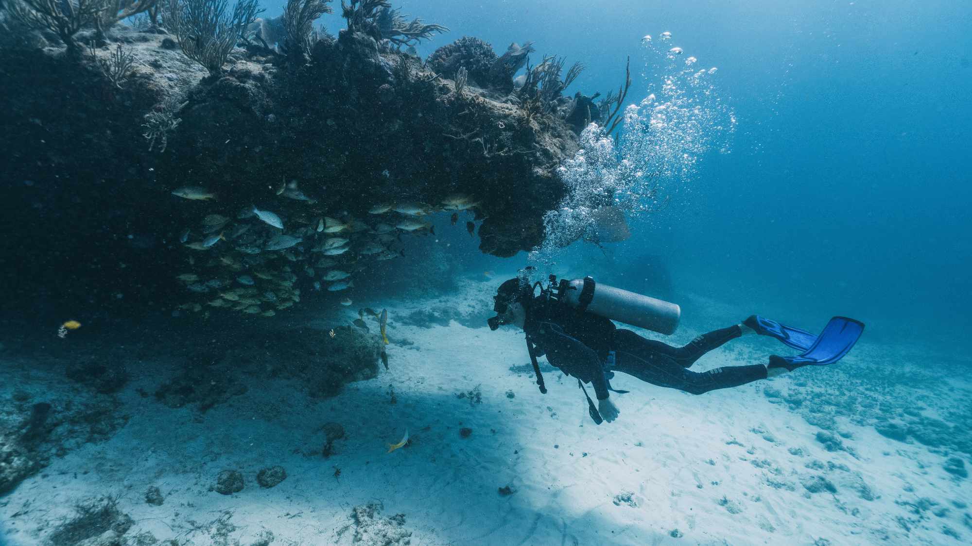 Diver underwater